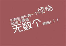 兔子ip手机版下载
